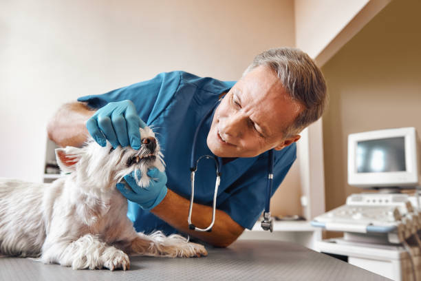 Best Emergency Wisdom Tooth Extraction in North Las Vegas, NV